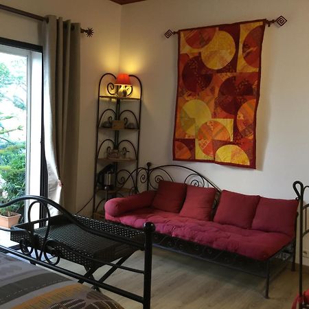 Mas Soleil Et Vignes Bed & Breakfast Saint-Hippolyte  Dış mekan fotoğraf