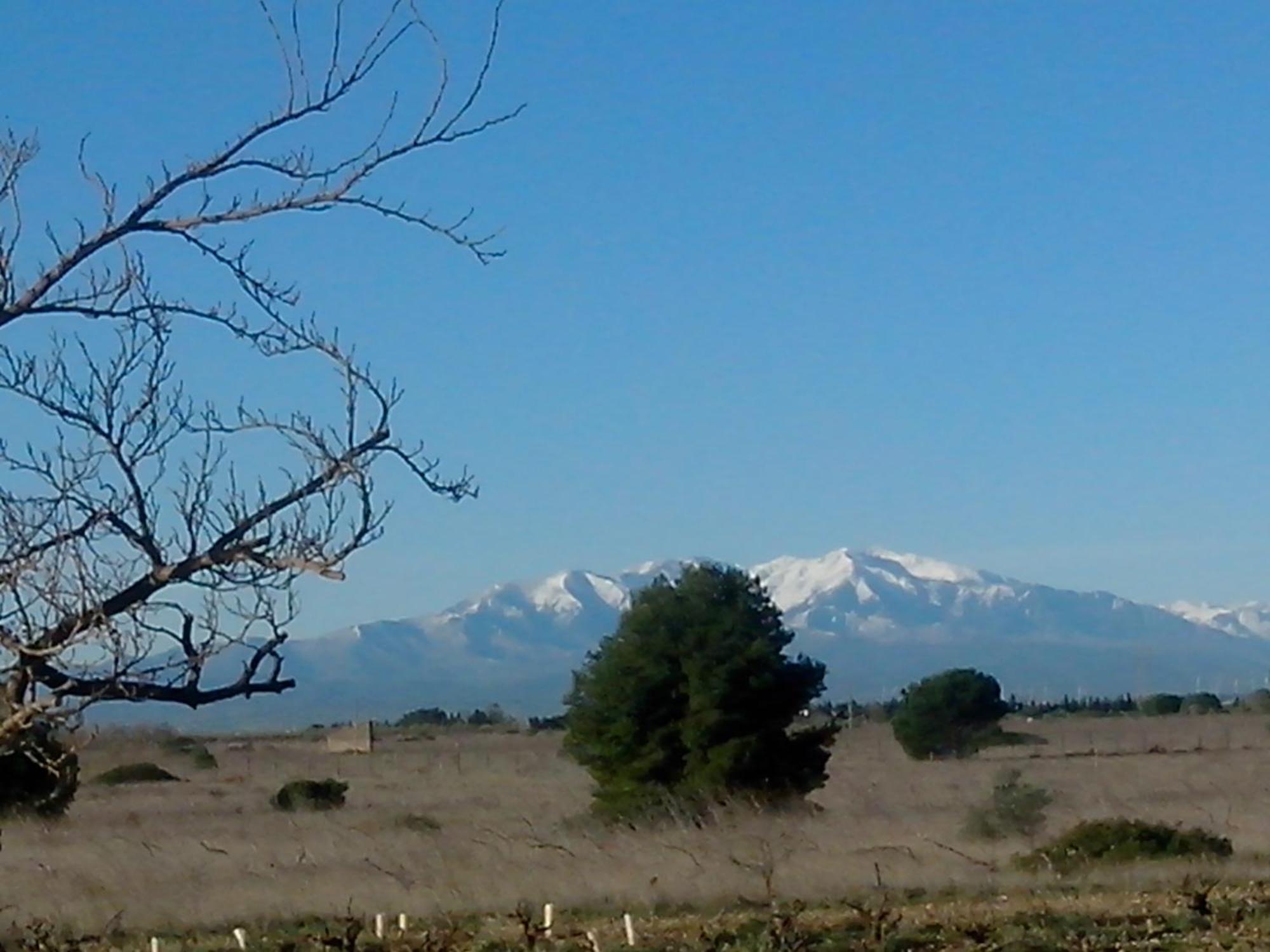 Mas Soleil Et Vignes Bed & Breakfast Saint-Hippolyte  Dış mekan fotoğraf