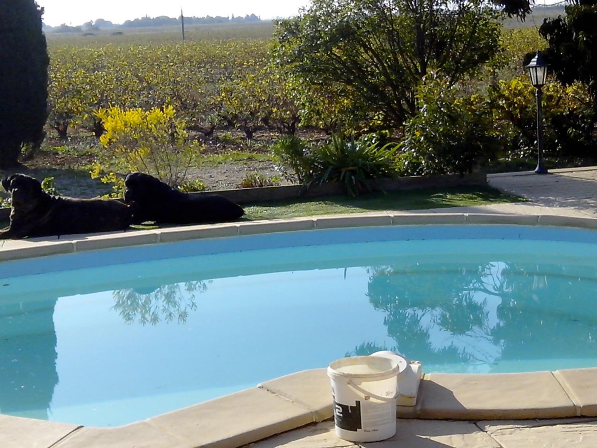 Mas Soleil Et Vignes Bed & Breakfast Saint-Hippolyte  Dış mekan fotoğraf